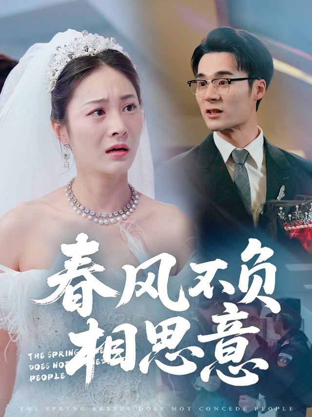 春风不负相思意封面