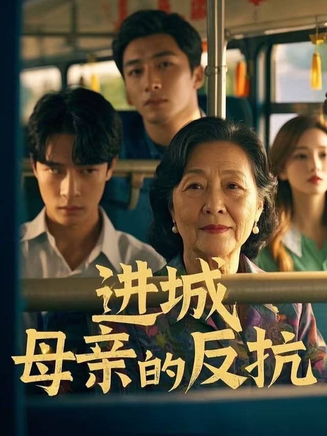 进城母亲的反抗封面
