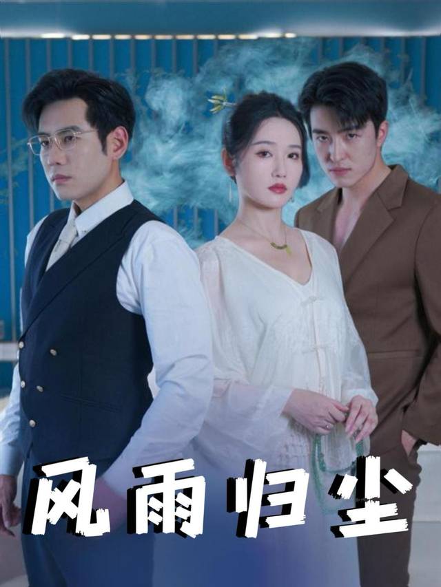 风雨归尘封面