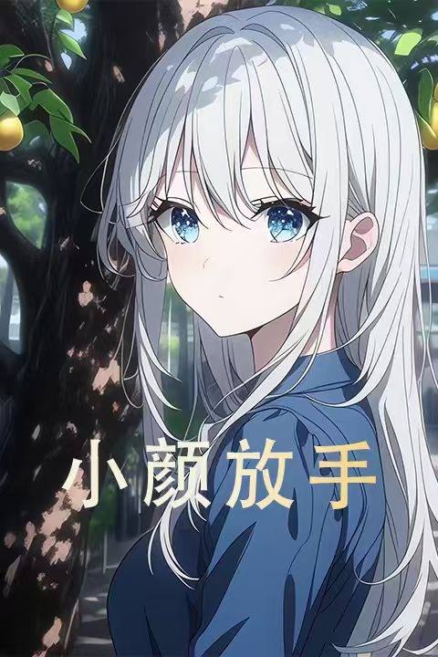 小颜放手封面