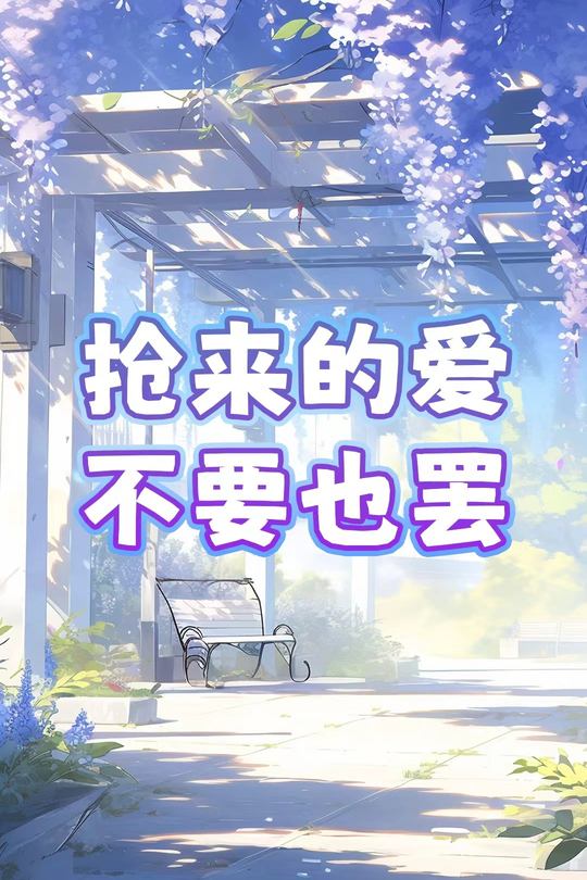 抢来的爱不要也罢封面