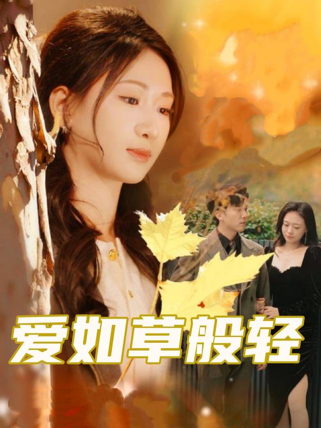 爱如草般轻封面