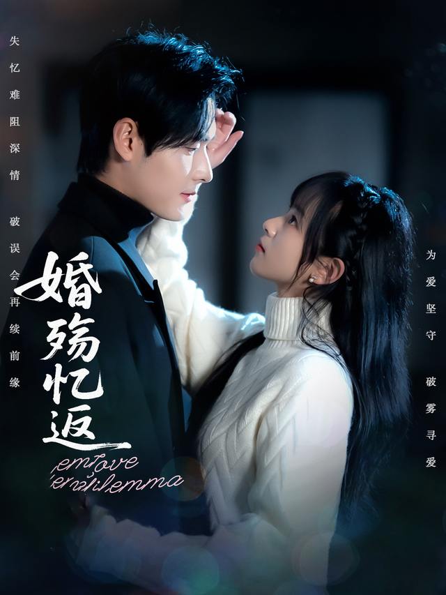 婚殇忆返封面