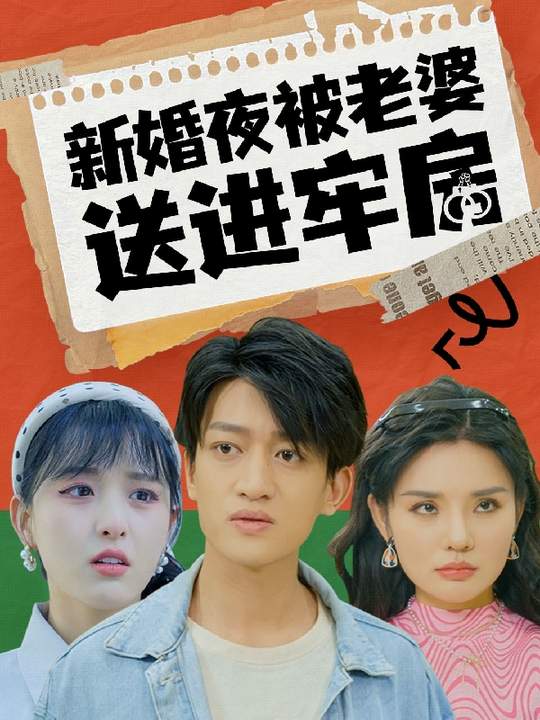 新婚夜被老婆送进牢房封面