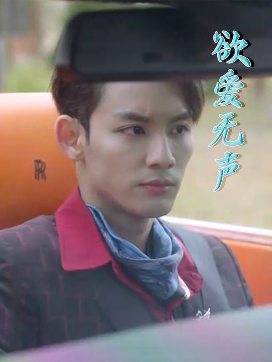 欲爱无声封面