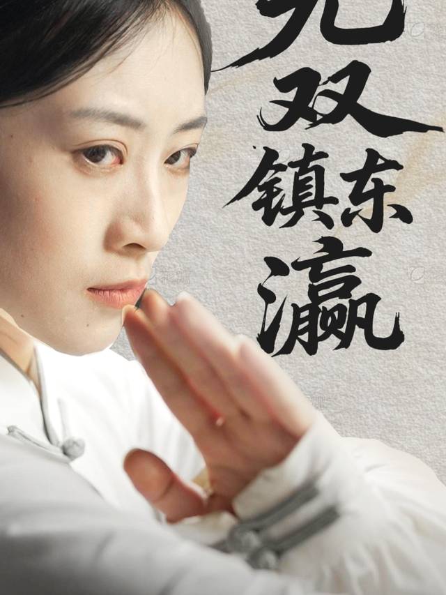 无双镇东瀛封面