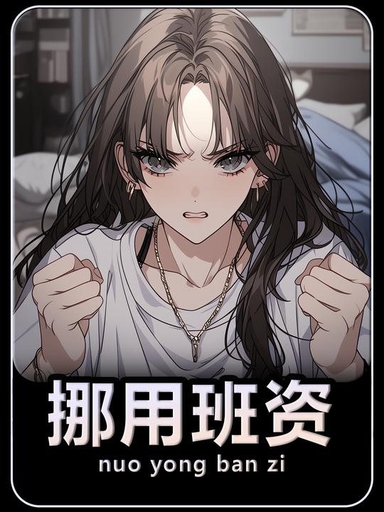 挪用班资封面