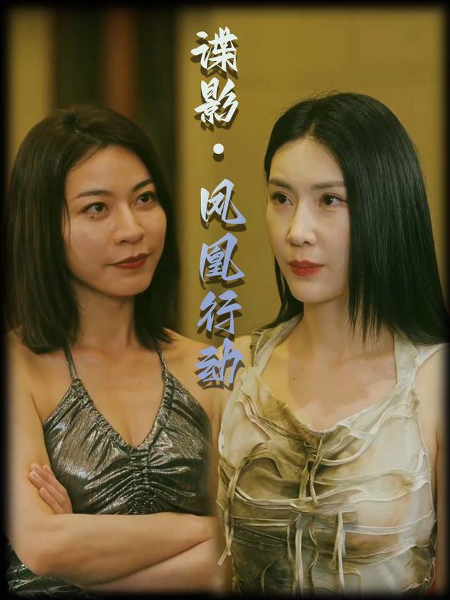 谍影・凤凰行动封面