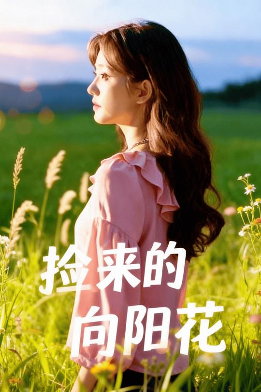 捡来的向阳花封面