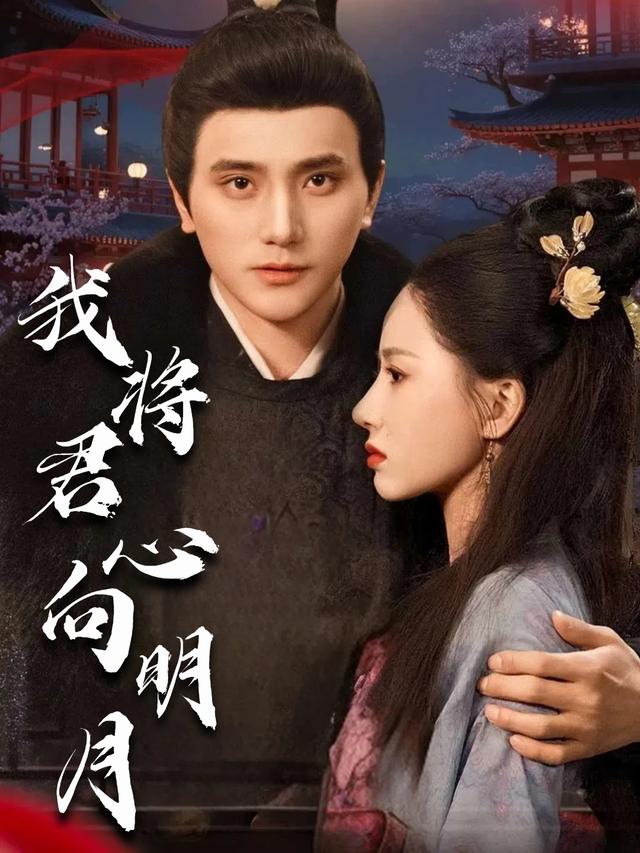 我将君心向明月封面