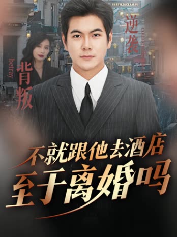 不就跟他去酒店,至于离婚吗?封面
