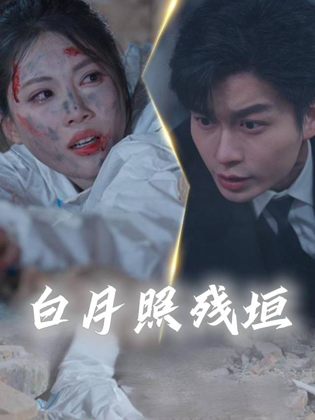 白月照残垣封面