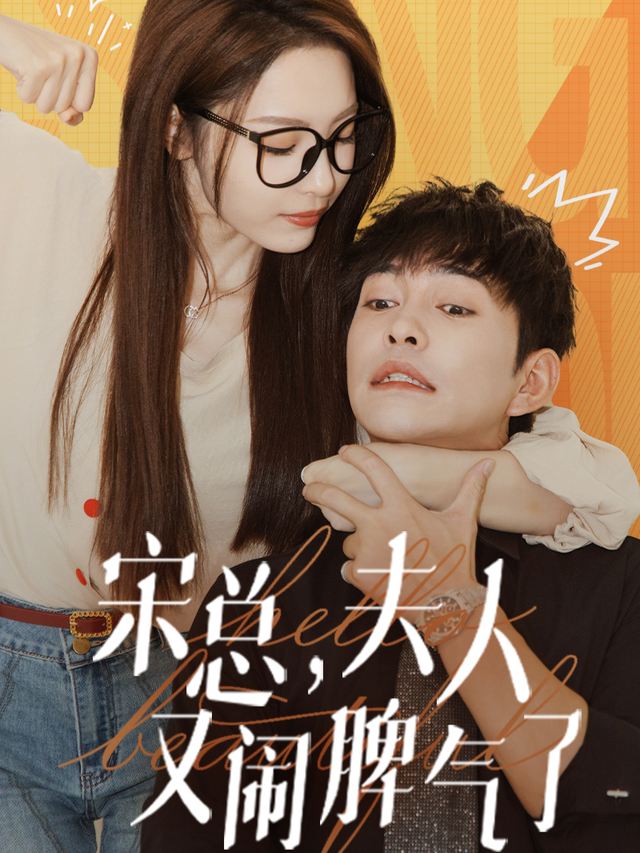 宋总夫人又闹脾气了封面