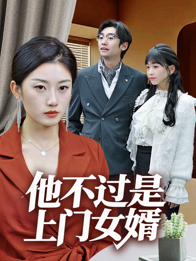 他不过是上门女婿封面