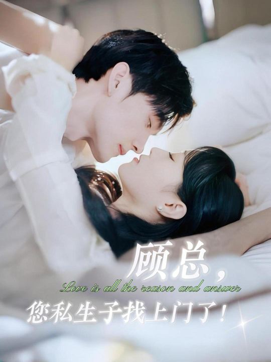 顾总，您私生子找上门了！封面