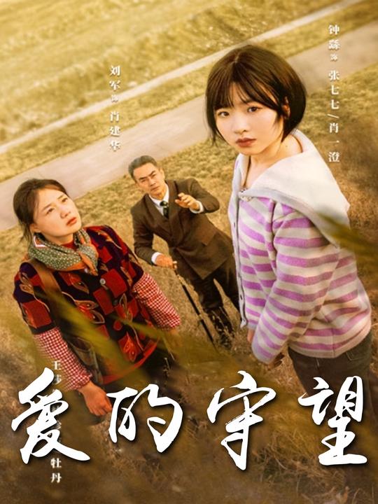 爱的守望封面