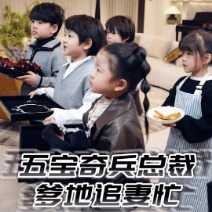 宿命的交响封面
