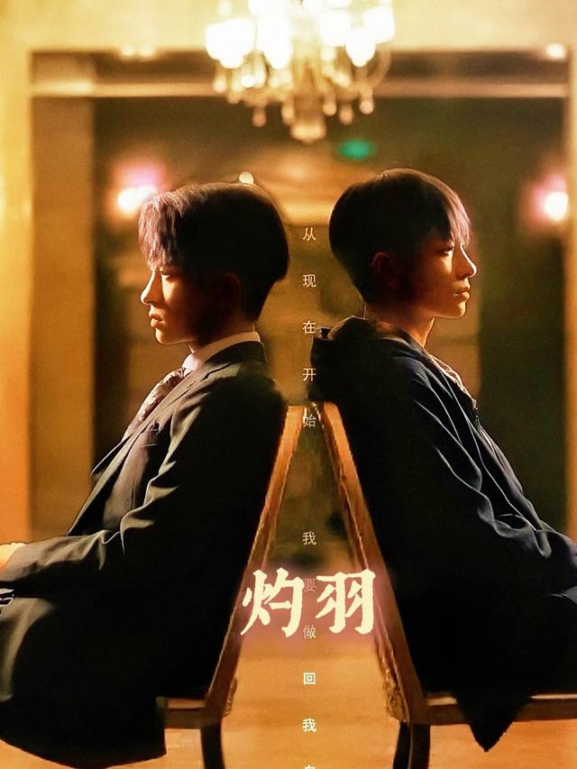 灼羽封面