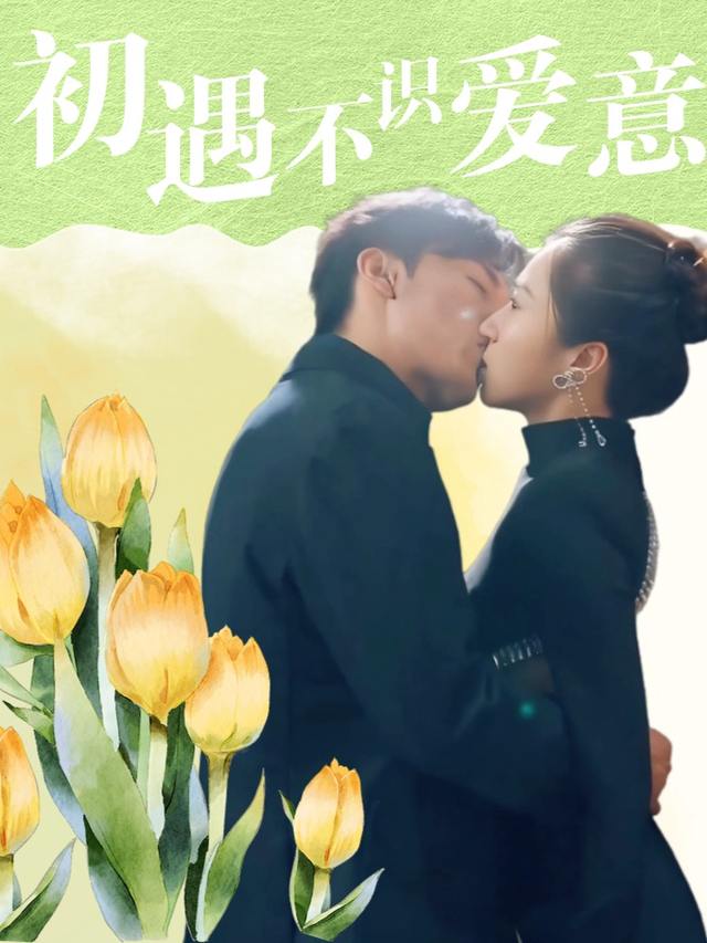 初遇不识爱意封面
