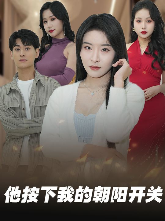 他按下我的朝阳开关封面