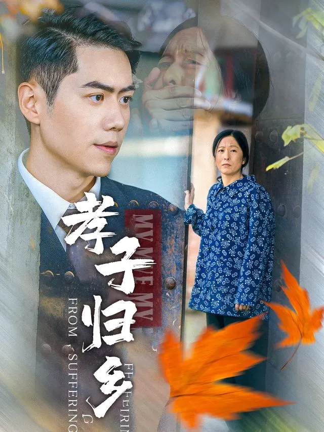 孝子归乡-掌阅封面