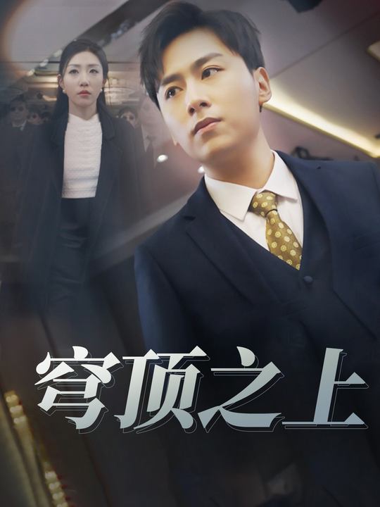 穹顶之上封面