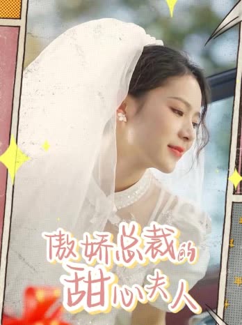 傲娇总裁的甜心夫人封面