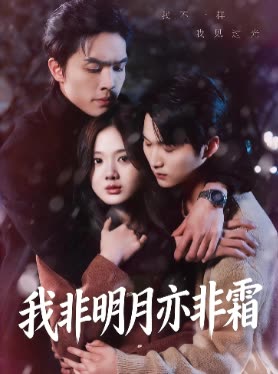 我非明月亦非霜封面