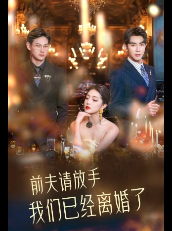 前夫请放手我们已经离婚了封面