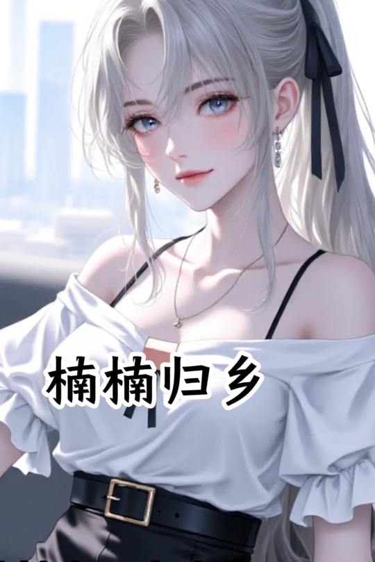 楠楠归乡封面