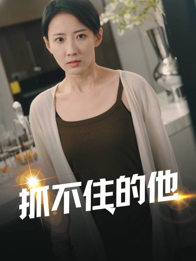 抓不住的他封面