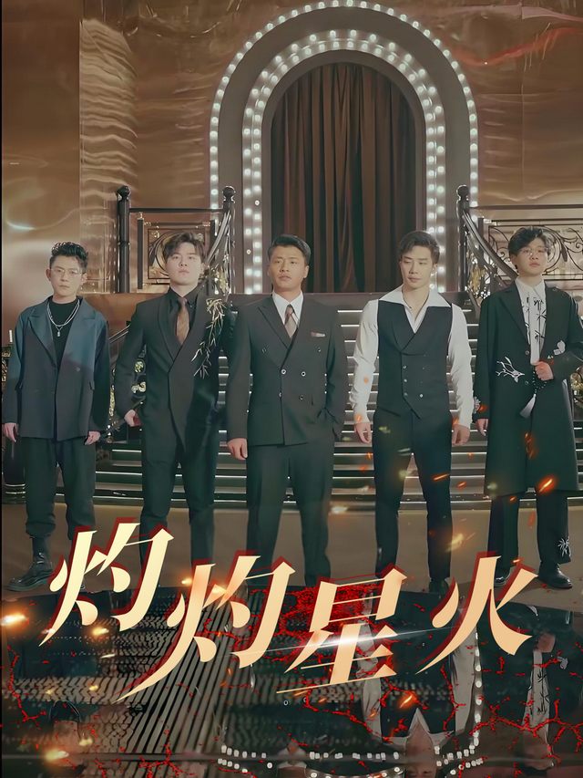 灼灼星火封面
