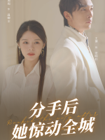 分手后她惊动全城封面