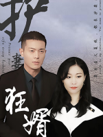 护妻狂婿封面