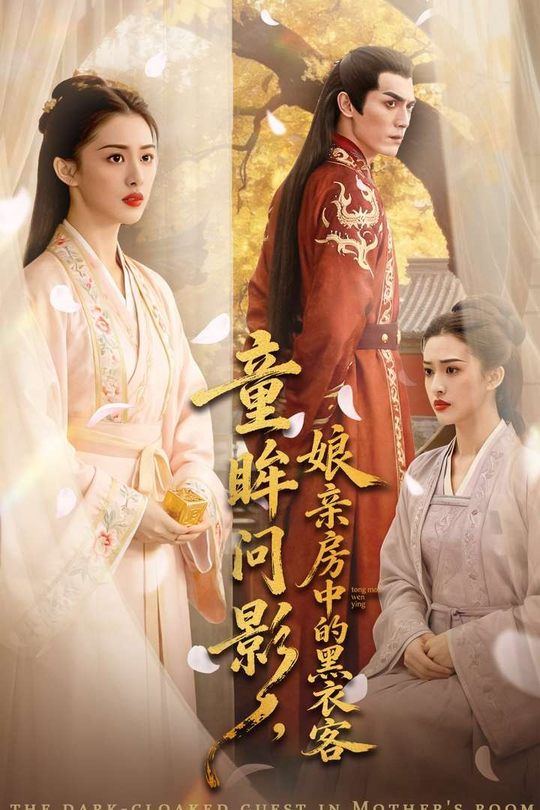 童眸问影,娘亲房中的黑衣客封面