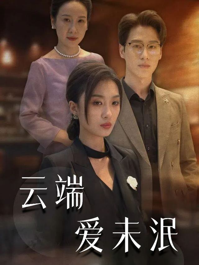 云端爱未泯封面