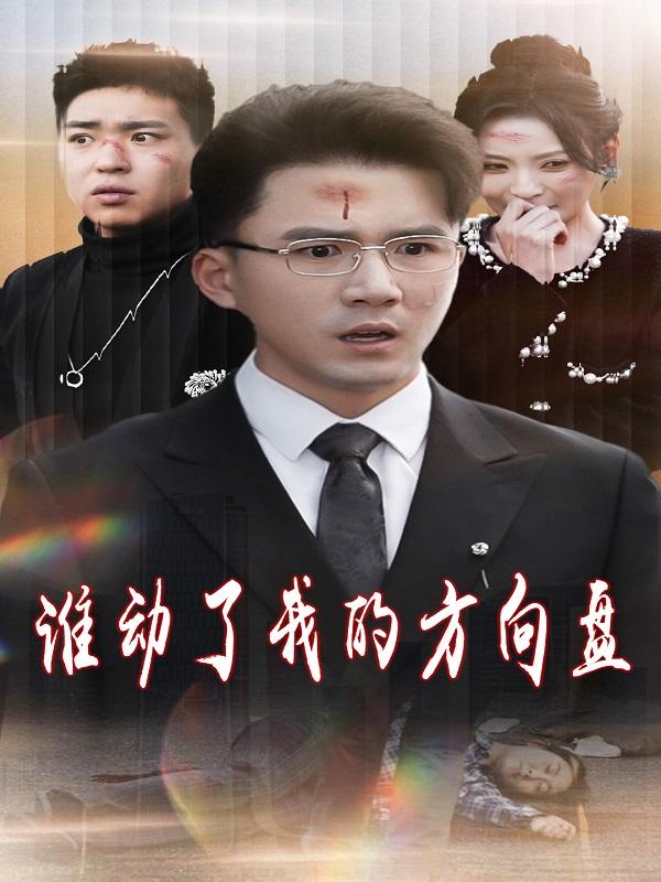 谁动了我的方向盘封面