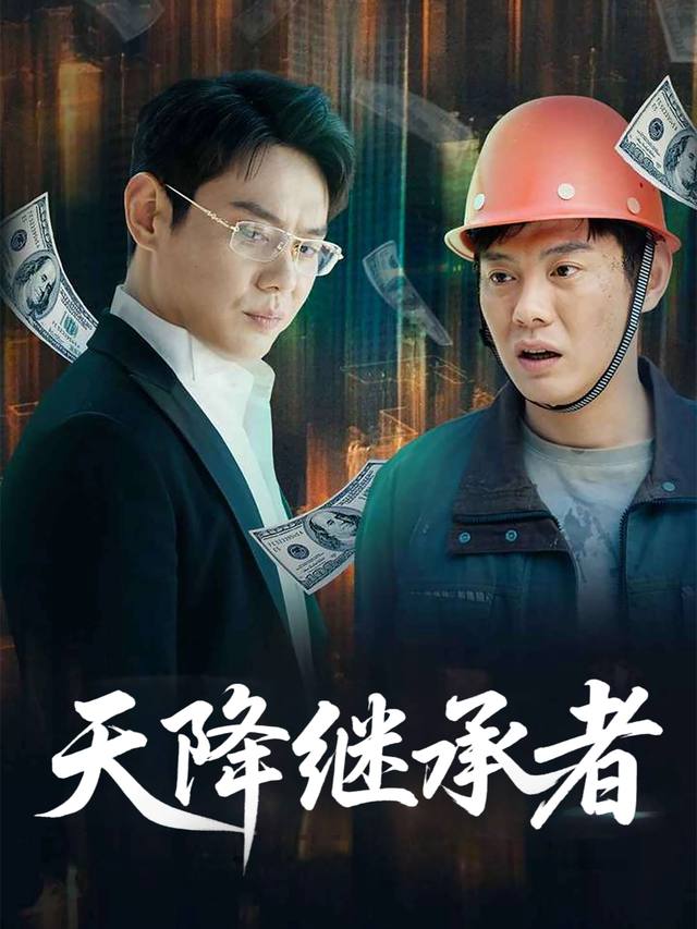 天降继承者封面