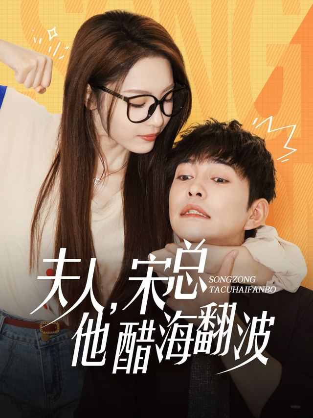 夫人宋总他醋海翻波封面