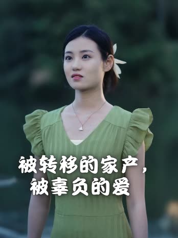 被转移的家产,被辜负的爱封面