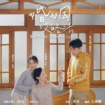婚姻攻略法封面