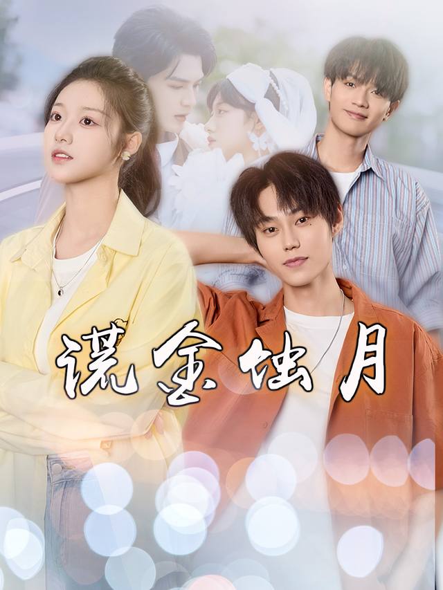谎金蚀月封面