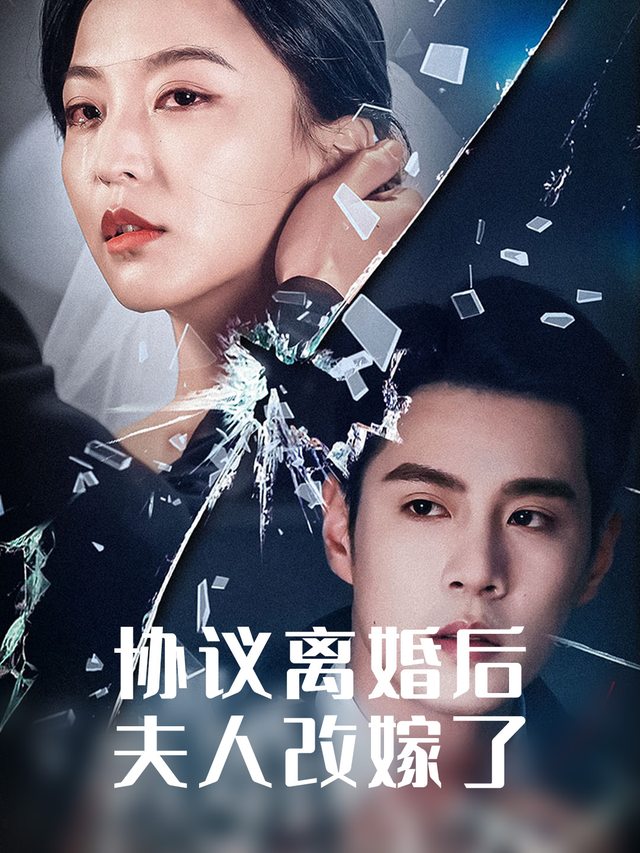 协议离婚后夫人改嫁了封面