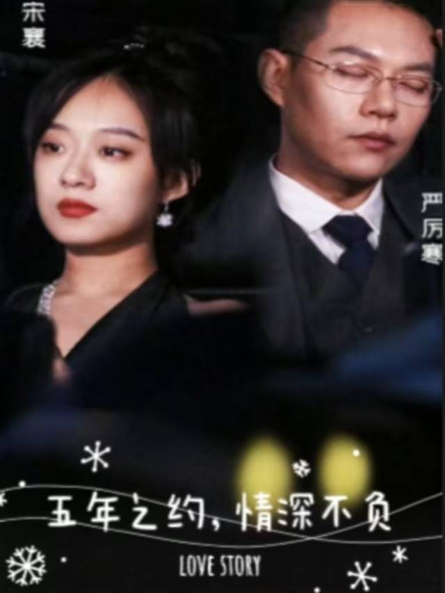 五年之约,情深不负封面