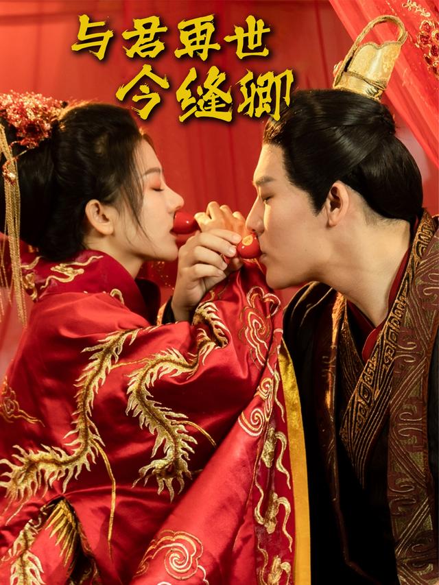 与君再世今缝卿封面