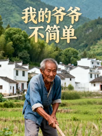 我的爷爷不简单封面
