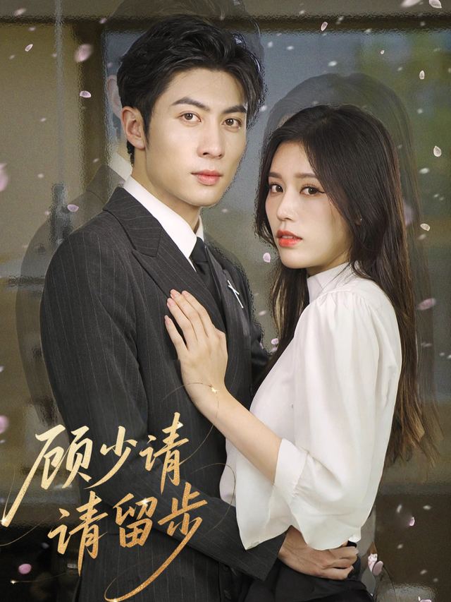 顾少请留步封面