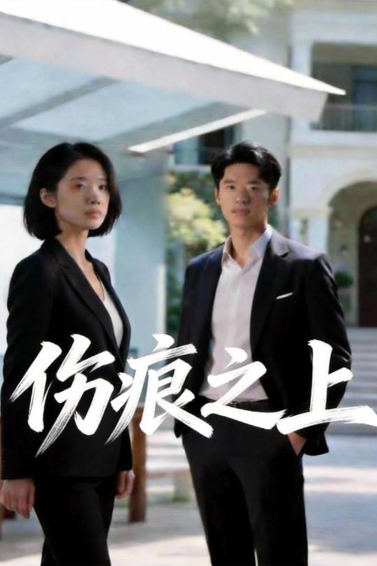伤痕之上封面