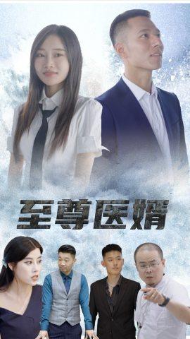 至尊医婿封面