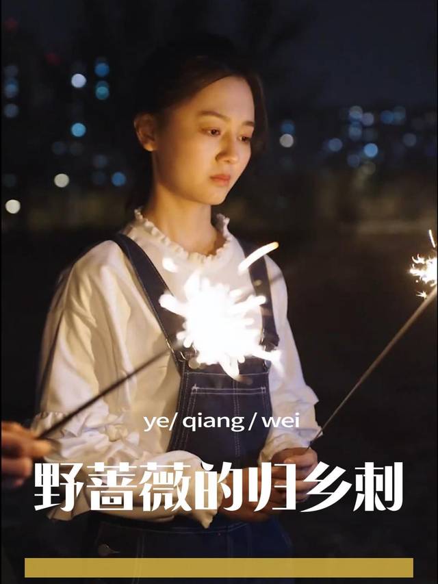 野蔷薇的归乡刺封面